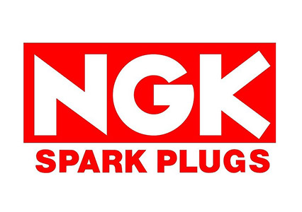 NGK Spark Plugs